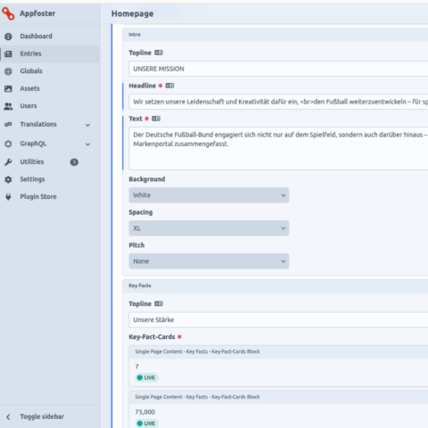 Translations Plugin – Content Localization for Craft CMS